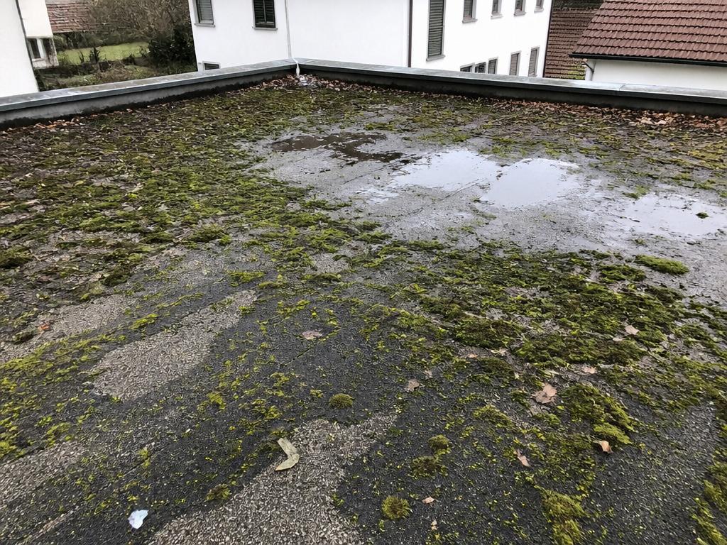 Flachdach vorher